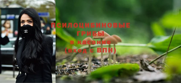 ALPHA-PVP Горно-Алтайск